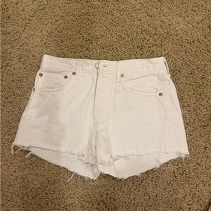 Agolde Parker Shorts